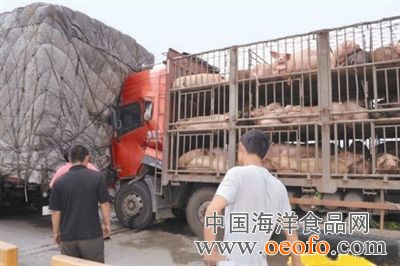 太阳成集团tyc