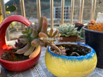 suncitygroup太阳成集团