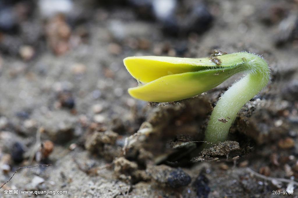 Safari浏览器的8个秘密技术 满满黑科技 怪我以前眼瞎没发现‘太阳成官网’(图3) 太阳成集团tyc