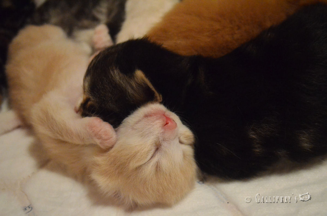 suncitygroup太阳成集团