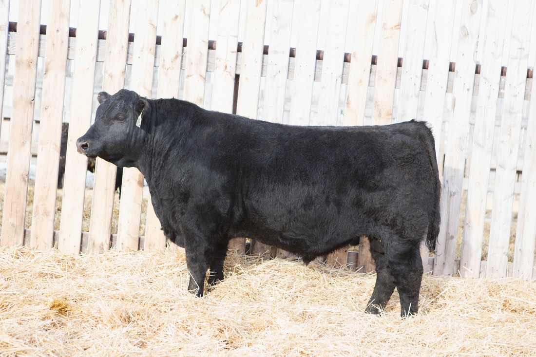 suncitygroup太阳成集团