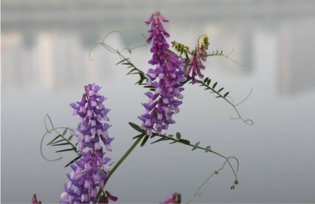 suncitygroup太阳成集团