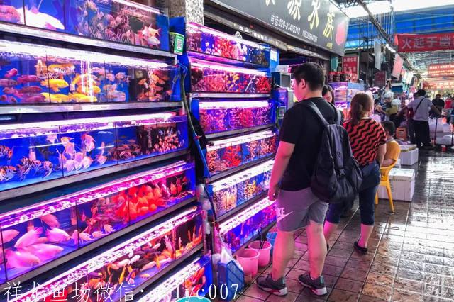 suncitygroup太阳成集团