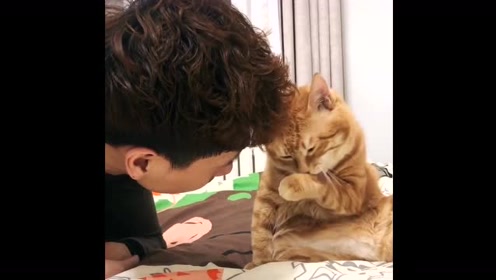 suncitygroup太阳成集团