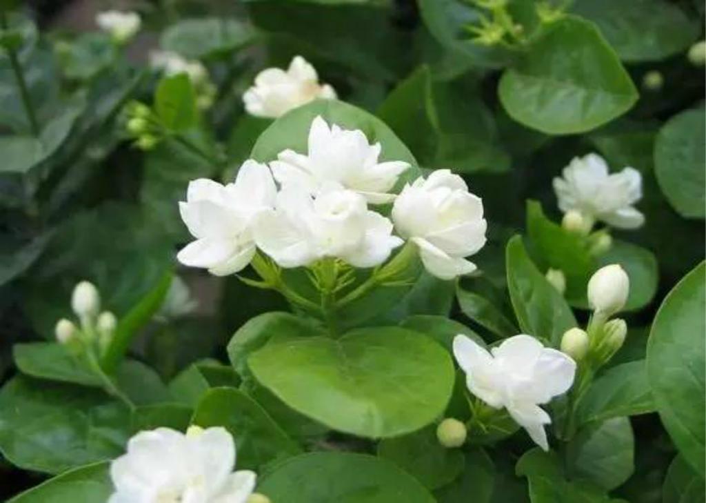 北京宣言:数字时代的国际广告业‘太阳成集团tyc’(图2) 太阳成官网