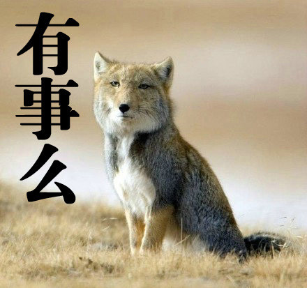 太阳成集团tyc-CMMB抛出新理念 服务95%个性化需求(图2) suncitygroup太阳成集团