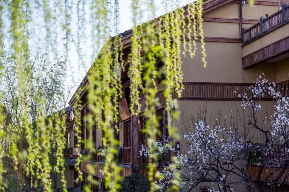 【太阳成官网】闻香止饥?KFC推出限量版木料 烧了会发出炸鸡香味!(图1) 太阳成官网