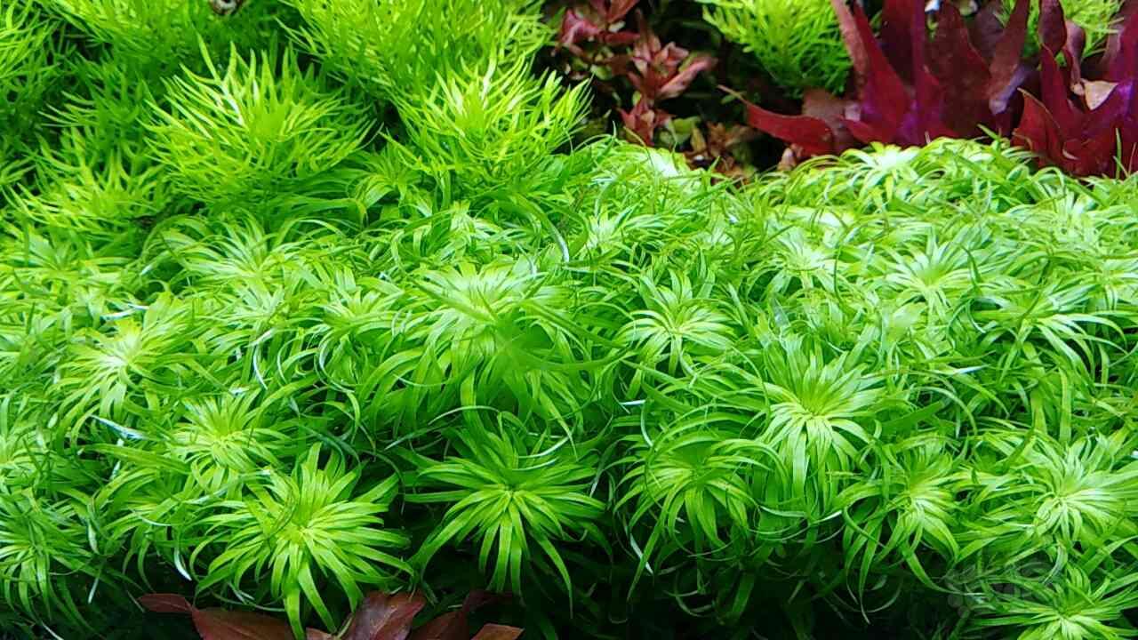 九天娱乐官网天津:旅游部门出资100万元奖励旅行社组织海河游_太阳成官网(图4) 太阳成官网