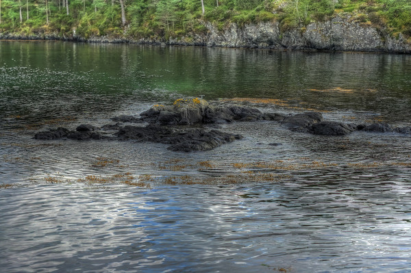 太阳成官网_#带着微博去旅行#掀文化热潮 博物馆成最新网红打卡地(图1) 太阳成集团tyc