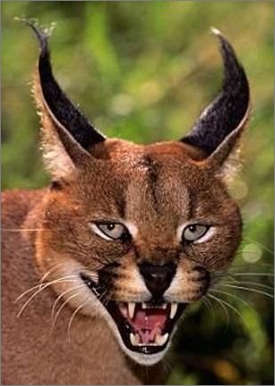 suncitygroup太阳成集团