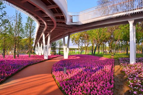 《龙珠超》动画91集惊现奇葩变身美少女引热议|太阳成集团tyc(图2) 太阳成官网