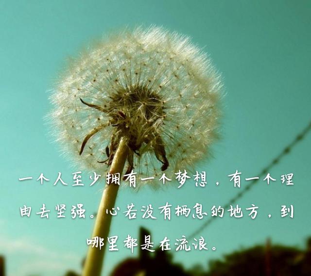 ‘太阳成集团tyc’桂林打造首个国际旅游胜地(图3) suncitygroup太阳成集团