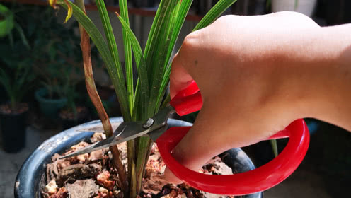 九月旅游将迎来一阵短暂的降价热潮:suncitygroup太阳成集团(图1) 太阳成集团tyc