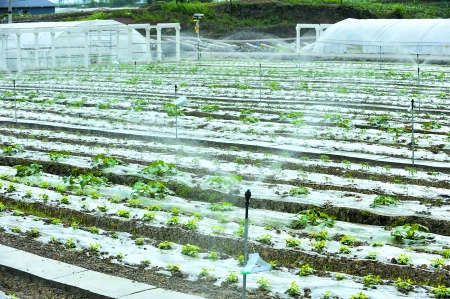 suncitygroup太阳成集团